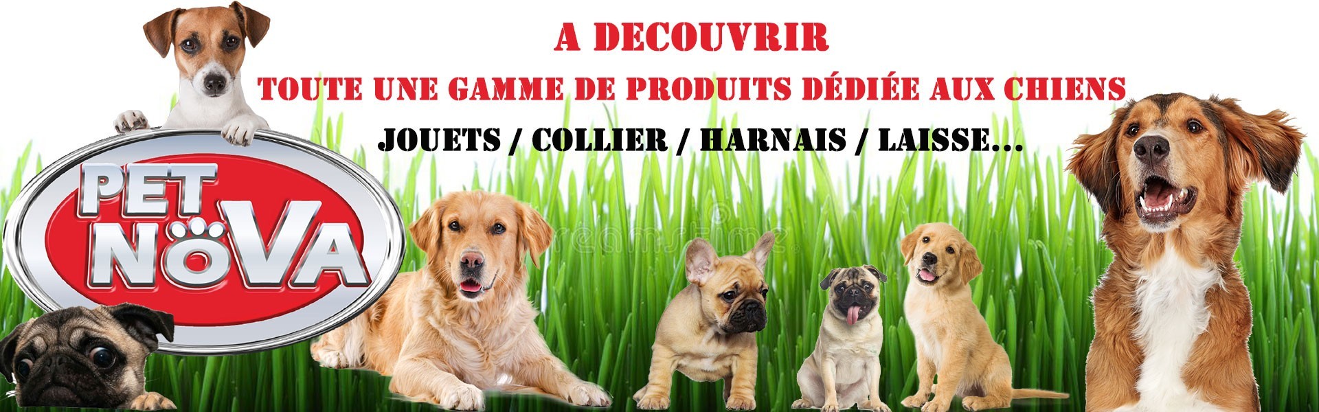 Gamme de produits pour chien de chez Pet Nova : Rapport qualité / prix exceptionnel